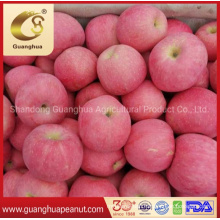 New Crop Fresh Chinese FUJI Apple